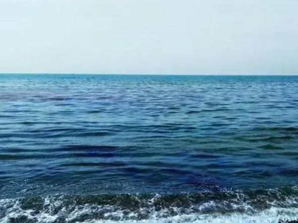 日本核廢水將排海-影響何以估量？